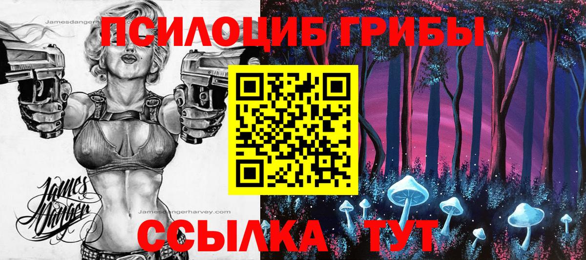 Галлюциногенные грибы GOLDEN TEACHER  Вход с VPN  Чайковский 